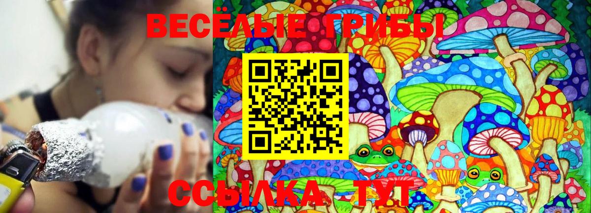 Псилоцибиновые грибы мицелий Миасс