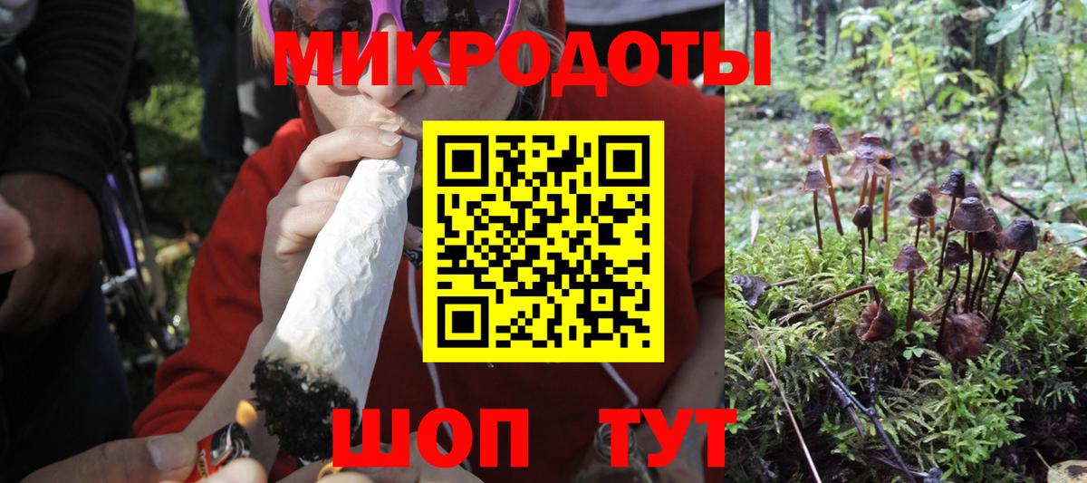 Галлюциногенные грибы GOLDEN TEACHER  дарнет шоп  Миасс  Вход с VPN 